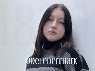 Udeledenmark