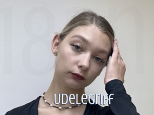Udelegriff