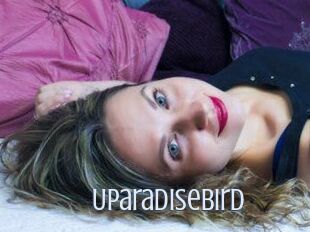Uparadisebird