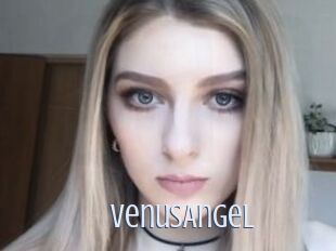 VenusAngel