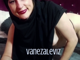 Vanezaleviz