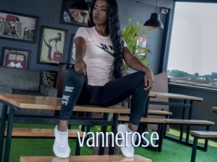 Vannerose