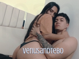 Venusandtebo