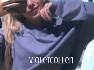 Violetcollen