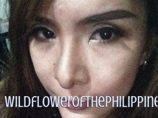 Wildflowerofthephilippines