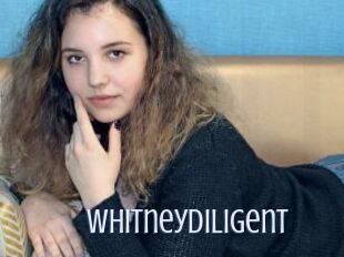 Whitneydiligent