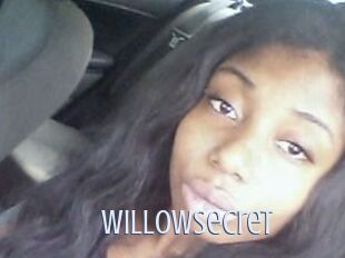 Willow_secret