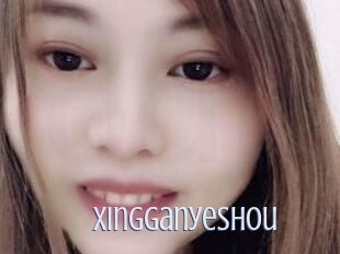 Xingganyeshou