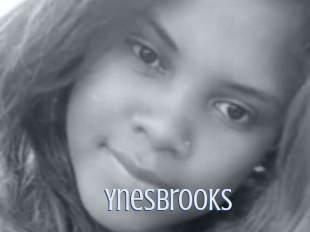 Ynesbrooks